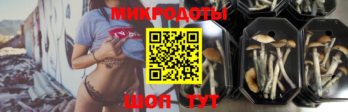 Псилоцибиновые грибы ЛСД  Галлюциногенные грибы Psilocybine cubensis  Вход с VPN  купить наркотик  Нижний Тагил 